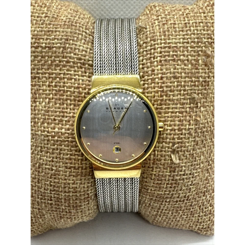Skagen 355SGSS Women Silver Stainless Steel Mesh Analog Dial Wrist Watch JNA886